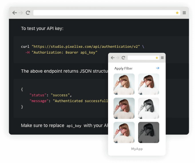 Developer API